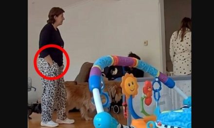Suegra de Carolina Flores afirma que su muerte fue un accidente