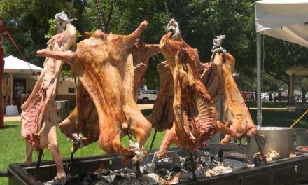 Saltillo: Todo un éxito el Cabrito Fest