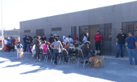 Van más de 400 esterilizaciones en Ramos Arizpe