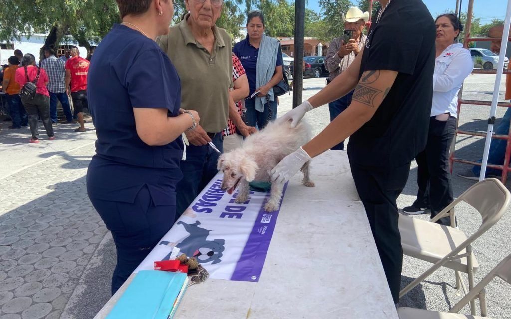 Acercan campaña de esterilización de mascotas a San Juan de Sabinas