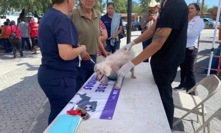 Acercan campaña de esterilización de mascotas a San Juan de Sabinas