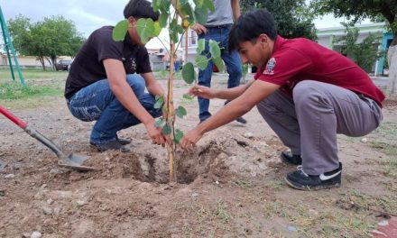 Estudiantes llevan a cabo labores de reforestación en colonias de Sabinas