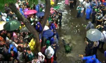Aficionados festejan nadando en calles de la CDMX tras inundaciones