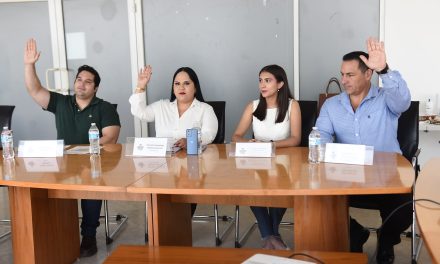 Presentan en comisión proyectos de la Red de Jóvenes en Ciencia e Innovación Social