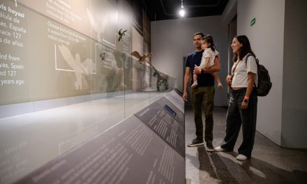 Saltillo se consolida como la ciudad de los museos
