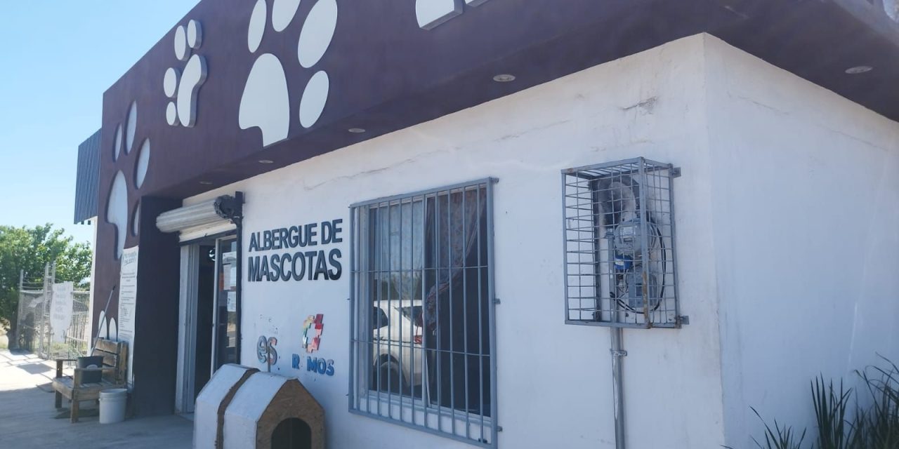 Continúan jornadas de vacunación y desparasitación para animales en Ramos Arizpe