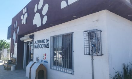 Se realizará brigada gratuita de vacunación para animales en Ramos Arizpe