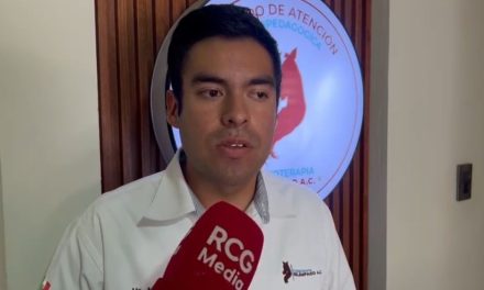 Asociación relámpago atiende la discapacidad en menores de bajos recursos