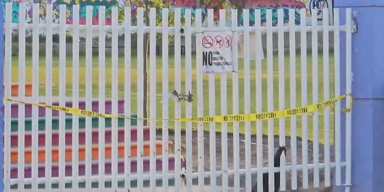 Saltillo:  Ataque de abejas deja a cinco menores lesionados