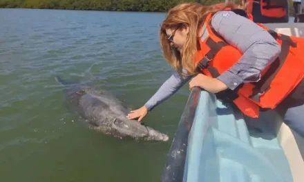 Ciudadanos y celebridades se unen para frenar planta de amoníaco en Topolobampo, Sinaloa