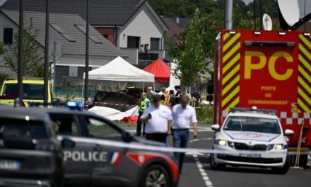 Mueren 11 personas tras desplome de avioneta de paracaidismo en Francia