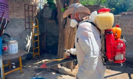Intensifican acciones de fumigación en colonias y escuelas de Torreón