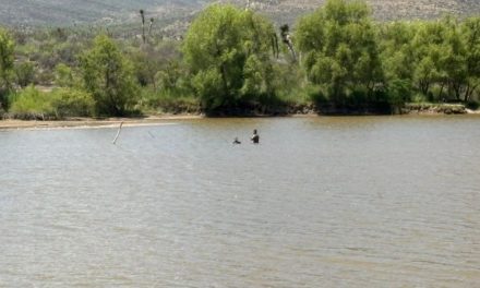 Ignoran advertencias y se meten a nadar en la Presa Palo Blanco