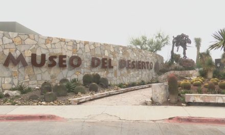 Listo Saltillo para mostrar su riqueza cultural y gastronómica a los visitantes
