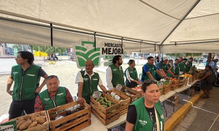 Se desarrolla el Mercadito Mejora en la Satélite Norte