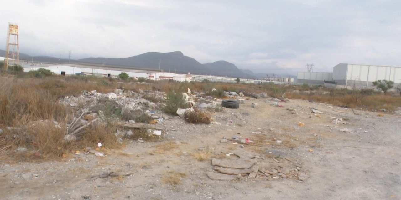 Multan en Ramos a 10 cochinones
