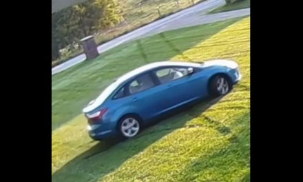 Repartidora de Amazon entra con su auto a un jardín y desata polémica en redes