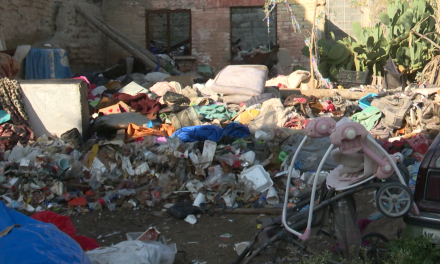 Piden limpiar terreno baldío en el centro de Saltillo