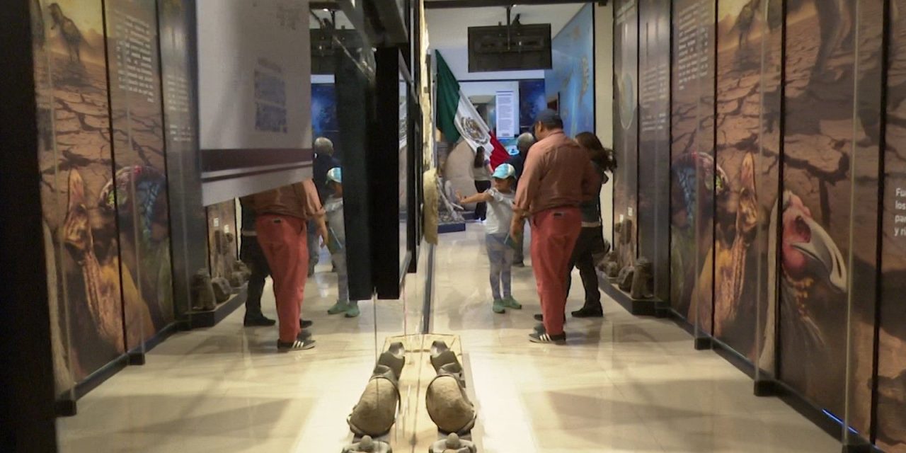 Preparan exposición mundialista en el Museo de Historia de Ramos Arizpe