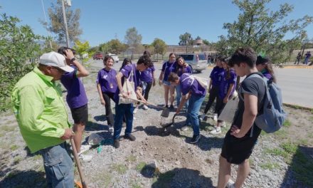 Reforesta Ayuntamiento bulevares y áreas verdes en favor de las familias