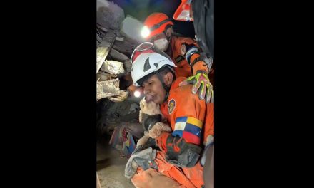 Video: Cachorra rescatada de los escombros en Venezuela conmueve al agradecer a su salvador