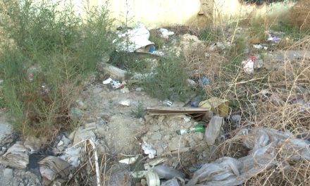 Terreno baldío en pleno centro histórico de Saltillo es un basurero al aire libre