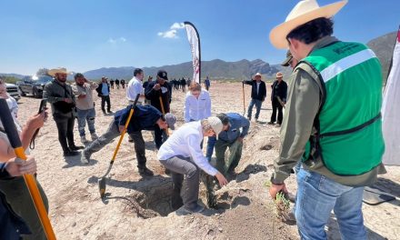 Torreón: Impulsan reforestación en la Sierra y Cañón de Jimulco y fortalecen la captación de agua de lluvia