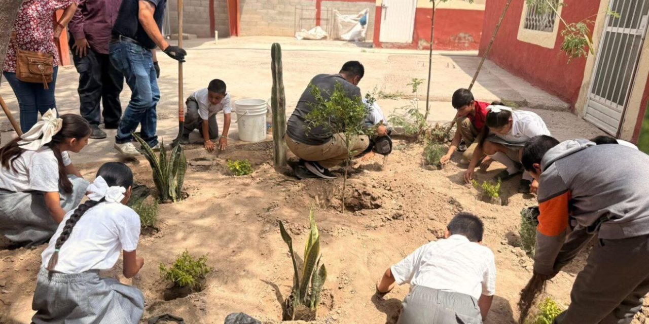 Refuerzan proyecto de jardines polinizadores en escuelas de Torreón