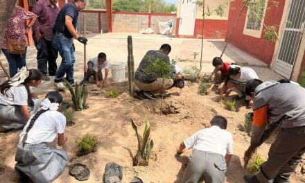 Refuerzan proyecto de jardines polinizadores en escuelas de Torreón
