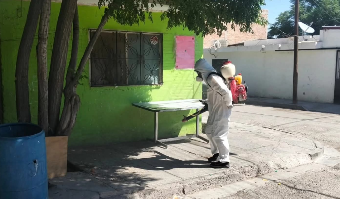 Refuerzan acciones de prevención y control de vectores y plagas en Torreón