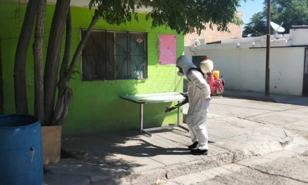Refuerzan acciones de prevención y control de vectores y plagas en Torreón