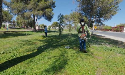 Va con todo Javier Díaz en reforestación al sur de Saltillo