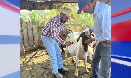 Fortalecen Municipio y Estado acciones preventivas de sanidad animal