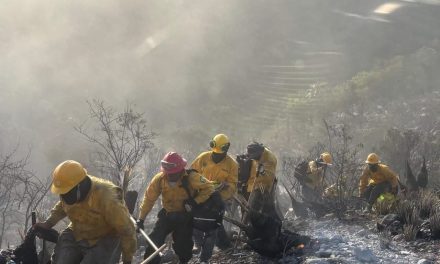 Mantienen vigilancia permanente en la Sierra de Santa Rosa ante riesgo de incendios
