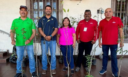 Invitan a canjear PET por árboles en Frontera
