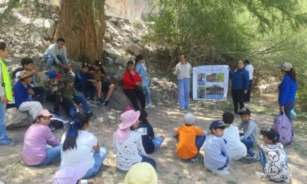 Cierran programa ‘Aprendo y Cuido Más’ del ciclo escolar 2025-2026