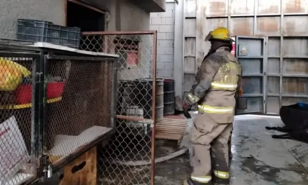 Incendio en albergue canino de Torreón deja 13 perros muertos