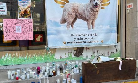Así amaneció la velada en honor a Rocky al exterior de veterinaria al norte de Saltillo