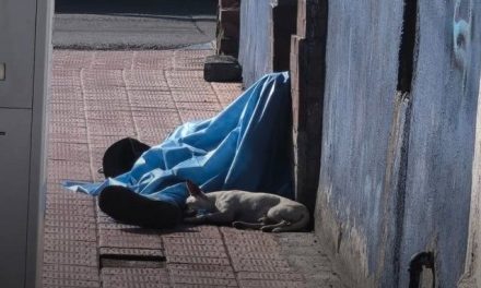 Saltillo: ¿Recuerdan a ‘Copo de Nieve’, el perrito que no se separó de su mejor amigo? Será dado en adopción