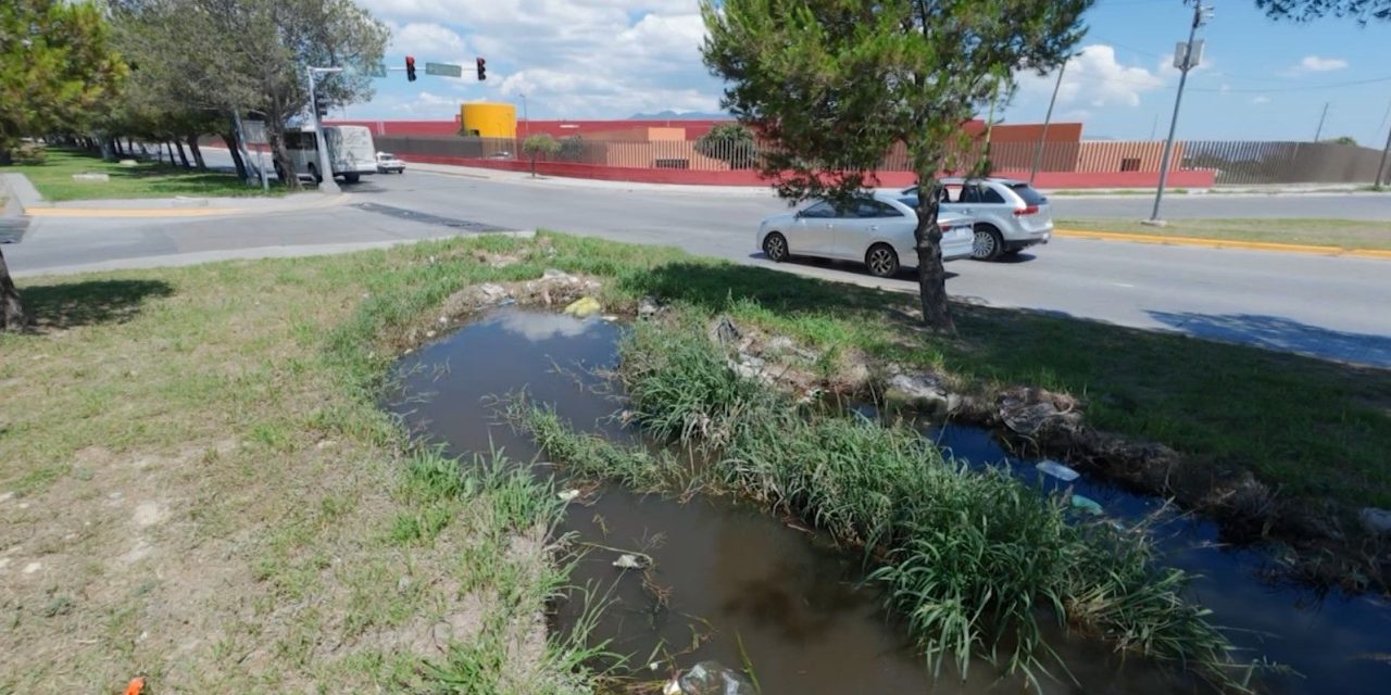 Saltillo: Desazolva Municipio canal pluvial  en bulevar Carlos Abedrop