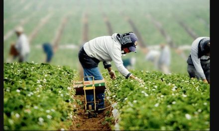 Juez frena restricciones para migrantes con Estatus de Protección Temporal en EE. UU.