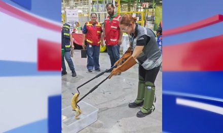 Promueve la Policía Ambiental  en empresas la protección de la fauna silvestre