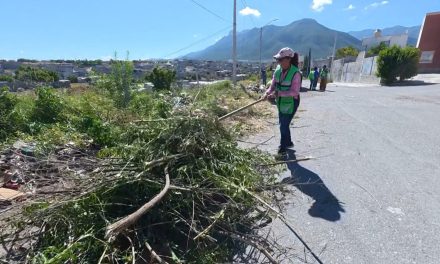 Refuerza gobierno municipal acciones de limpieza en arroyo San Lorenzo