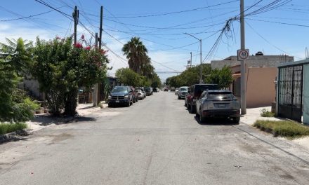 Reportan plaga de garrapatas en la colonia Saltillo 2000