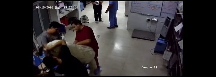 Veterinaria difunde videos ante polémica por el caso ‘Rocky’