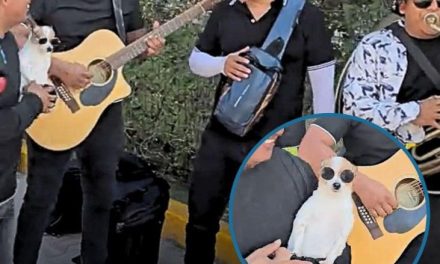 Así fue la serenata a un lomito en ‘idioma canino’ (video)