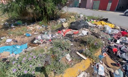 Suman más de 152 multas mediante el programa ‘Tómala Cochino’
