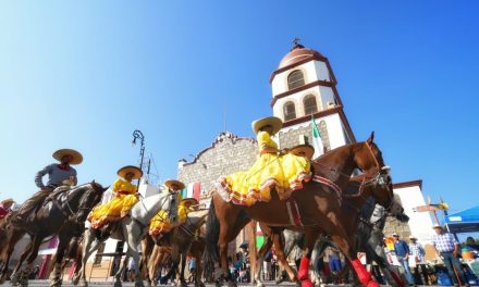 Refuerzan medidas de bienestar animal durante las cabalgatas