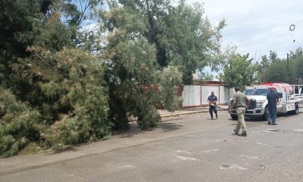 Lluvias en Sabinas solo dejan afectaciones leves