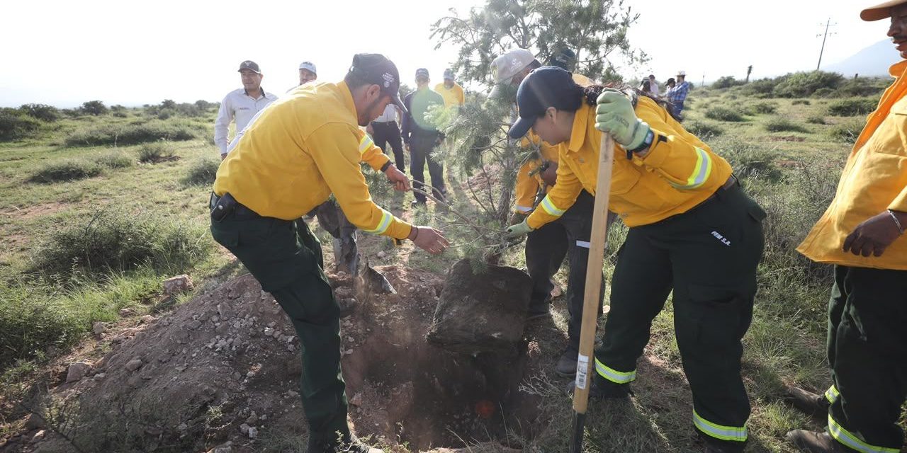 Coahuila fortalece las acciones para la restauración y protección de ecosistemas